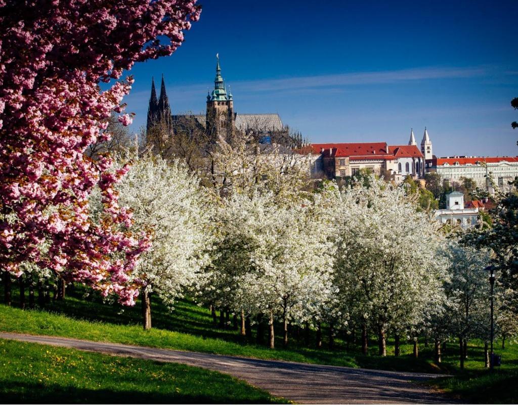 Royal Apartments Prague By Michal&Friends Exterior photo